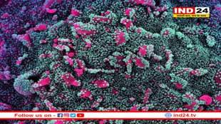 कोरोना ने फिर पकड़ी रफ्तार, 5 मौतों से हड़कंप