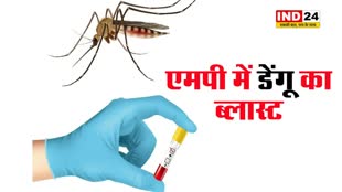 एमपी में डेंगू का ब्लास्ट, राजधानी भोपाल में भी तेजी से बढ़ रहा मरीजों का आंकड़ा