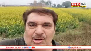 बॉलीवुड एक्टर रजा मुराद ने रीवा में सरसों के खेत देखकर रोक दी गाड़ी