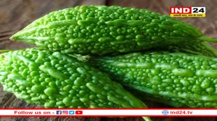 कड़वा करेला भी देता है चौंका देने वाले फायदे, आज से ही खाना कर दें शुरू