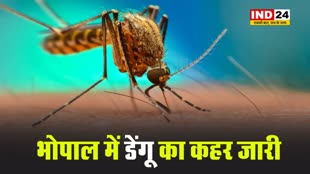 भोपाल में डेंगू का कहर जारी: मरीजों का आंकड़ा बढ़कर 345 पहुंचा, स्वास्थ्य विभाग अलर्ट