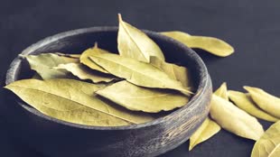 स्वाद के साथ सेहत के लिए भी वरदान है तेज पत्ता, जानें इसके फायदों के बारे में 