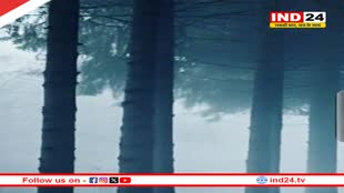 एमपी में अगले 24 घंटों में कड़ाके की ठंड, रीवा-सतना में घने कोहरे से दृश्यता शून्य