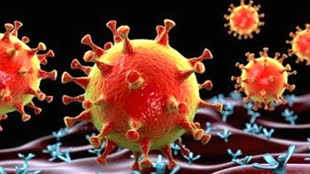 Corona Virus: जबलपुर में ऑस्ट्रेलिया से आई महिला कोरोना पॉजिटिव, घर में किया आइसोलेट