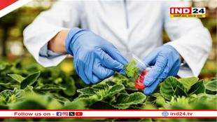 कैंसर के इलाज में बड़ी सफलता, नहीं पड़ेगी कीमो थैरेपी की जरूरत!