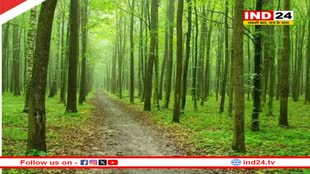 अग्निवीर की तर्ज पर MP में वनवीर होंगे भर्ती, हर साल होगी 500 से अधिक नियुक्तियां, मिलेंगे ये लाभ