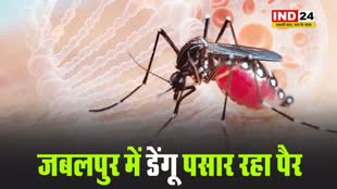 जबलपुर में डेंगू पसार रहा पैर, दो दिन में मिले 11 पीड़ित