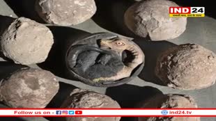 कुलदेवता मानकर जिनकी वर्षो से हो रही थी पूजा: वो निकले डायनासोर के  अंडे