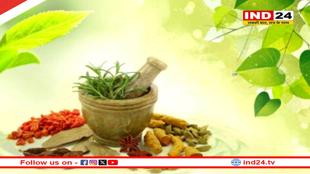 हर साल 23 सितंबर को मनाया जाएगा 'आयुर्वेद दिवस', सरकार ने की घोषणा