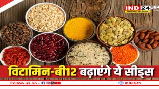 विटामिन-बी12 की कमी से परेशान? डाइट में शामिल करें ये 4 सीड्स