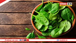 Health Tips: सुपरफूड के रूप में जाना जाता है पालक, इसे खाने से होते हैं कई बड़े फायदे