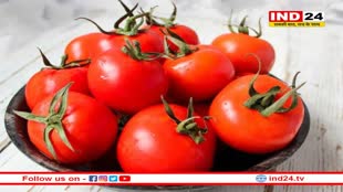 Tomato Disadva: अगर पथरी और डायरिया से हैं ग्रस्त तो भूल से भी न खाएं टमाटर, जानिए नुकसान और फायदे