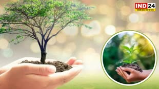 प्रकृति का बिगड़ता असंतुलन एक बढ़ता खतरा, वैज्ञानिक दे रहे चेतावनी