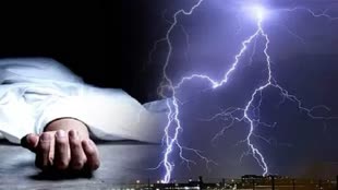 CG NEWS : छत्तीसगढ़ में कुदरत का बरपा कहर, आकाशीय बिजली गिरने से मवेशियों की मौत हुई मौत...