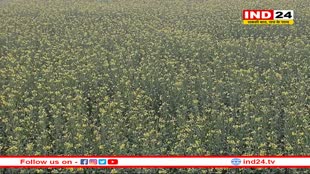 पल पल बदल रहा मौसम, दलहनी फसलों के झड़ रहे फूल