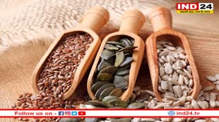 Seeds Benefits: पोषक तत्वों का भंडार होते हैं बीज, शरीर के फंक्शन्स को सही रखने में करते हैं मदद 
