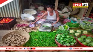 MP News: आसमान छू रहा हरी सब्जियों का भाव, बारिश ने बढ़ाई आमजनों की मुसीबत 