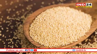 Health Update: पोषक तत्वों का भंडार है खसखस, जानें इसके गजब के फायदे