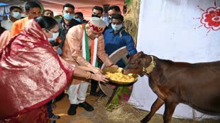 CG NEWS : गोवर्धन पूजा पर सीएम भूपेश बघेल ने प्रदेशवासियों को दी बधाई...