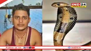 UP News: फतेहपुर जिले में 40 दिन के अंदर युवक को 7 बार सांप ने डसा, सपने में आकर बोला- ' नौंवी बार तूझे कोई भी ताकत, तांत्रिक या...'