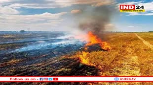 पराली जलाने से एमपी की आवो हवा हो रही खराब