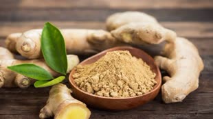 Health Tips: पोषक तत्वों से भरपूर है अदरक, वजन कम करने में है मददगार 