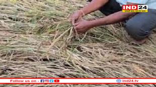 वाह रे सिस्टम! फसल नुकसान पर किसान को मिली 6 रुपए की मदद