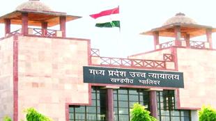 एमपी में आवारा गायों को लेकर हाईकोर्ट सख्त, 13 जिलों के कलेक्टर्स समेत केंद्र और राज्य सरकार को जारी किया नोटिस