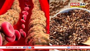 अलसी के बीज में है धमनियों में जमे बैड कोलेस्ट्रॉल को बाहर निकालने का दम, मोटापा भी करता है कम