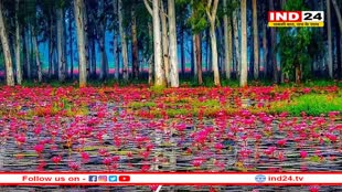 एमपी का कश्मीर है इंदौर की लोटस वैली