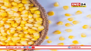 Corn Benefits: वेट लॉस से हेयर फॉल कंट्रोल करने तक,  जानें कॉर्न खाने के 6 जबरदस्त फायदे 