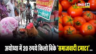  अयोध्या में 20 रुपये किलो बिके 'समाजवादी टमाटर'...