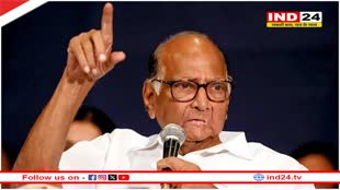 'अजित पवार जीते हैं लेकिन महाराष्ट्र को पता है NCP किसकी', चुनाव में हार के बाद बोले शरद पवार