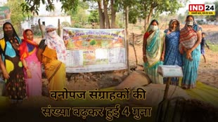 CG NEWS : चार सालों में वनोपज संग्राहकों की संख्या में 4 गुना से ज्यादा की बढ़ोत्तरी।