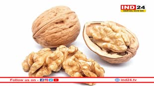 सर्दियों में अखरोट का सेवन है अमृत समान, जानें किस समय खाने से मिलता है फायदा?