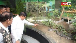 CM डॉ. मोहन यादव ने इंदौर चिड़ियाघर को गिफ्ट में दिया नर कोबरा