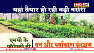 MP में कार्बन सोखने की बड़ी तैयारी, वैज्ञानिकों ने तैयार किए फॉरेस्टी ट्री