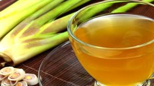 इम्यूनिटी को मजबूत करने के लिए करें लेमन ग्रास हर्बल टी का सेवन, जानें विधि