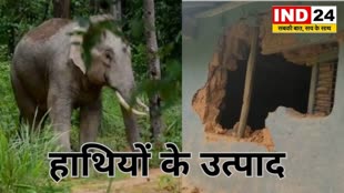 CG News : जशपुर में हाथियों का तांडव! मौत और सवाल! ग्रामीणों में दहशत का माहौल....