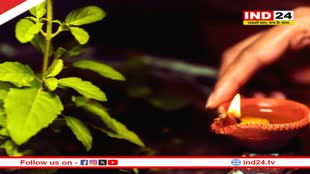 तुलसी विवाह के दिन करें ये उपाय, सभी बधाएं होंगी दूर