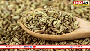 Fennel Seeds: अगर आप भी वजन को करना चाहते हैं कम, तो सौंफ को इन चार तरीकों से अपनी डाइट में करें शामिल