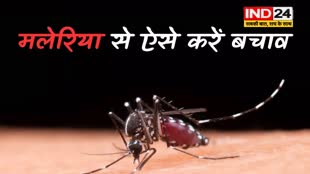  गर्मी के साथ ही बढ़ने लगा मलेरिया मच्छरों का प्रकोप, जानें लक्षण व बचाव 