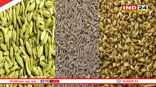 बीमारियों से दूर रहने के लिए डाइट में जोड़ें ये 3 मसालों का पाउडर, मिलेगा फायदा
