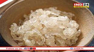 गर्मियों में करें गोंद कतीरा का सेवन, शरीर को रखेगा ठंडा