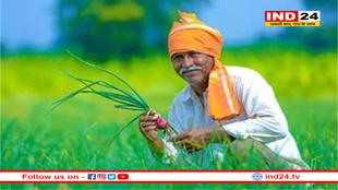 PM किसान सम्मान निधि: 5 नवंबर से पहले आएगे किसानों के खाते में 2000 रुपये?