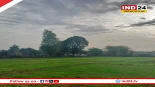 Rajasthan Weather Update: प्रदेश के 5 शहरों में बारिश का अलर्ट, कई शहरों का तापमान बढ़ा  
