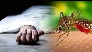 CG NEWS :  राजधानी में डेंगू के 70 मरीज मिले, जांच के लिए राजधानी से जाएगी विशेष टीम