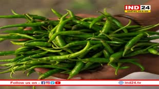 Green Chilli Benefits: पोषक तत्वों का खजाना है हरी मिर्च, जानें इसके फायदे