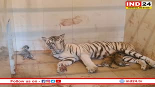 MP News: ग्वालियर चिड़िया घर में आए 3 नन्हे मेहमान, चिड़ियाघर में गूंजी खुशी की लहर