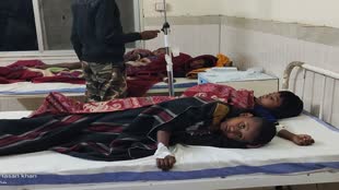 CG NEWS: रतनजोत खाने से आदिवासी बालक आश्रम में  8 छात्रों की बिगड़ी हालत, आनन-फानन में पहुंचाया गया ....